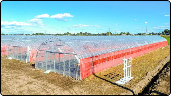 有限会社マルカ商会 -課題解決型のハウスづくり 企画・施工・販売 ワンストップで提案-