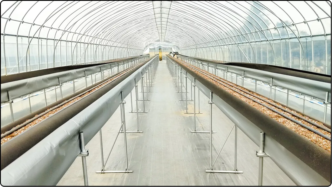 栃木の鉄骨屋根ハウス施工｜大空間・高採光が必要な栽培に｜初めての方も安心｜有限会社マルカ商会