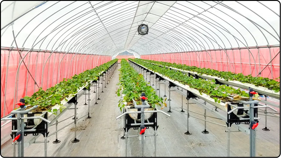 有限会社マルカ商会 -課題解決型のハウスづくり 企画・施工・販売 ワンストップで提案-