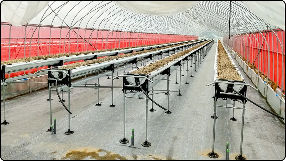 有限会社マルカ商会 -課題解決型のハウスづくり 企画・施工・販売 ワンストップで提案-