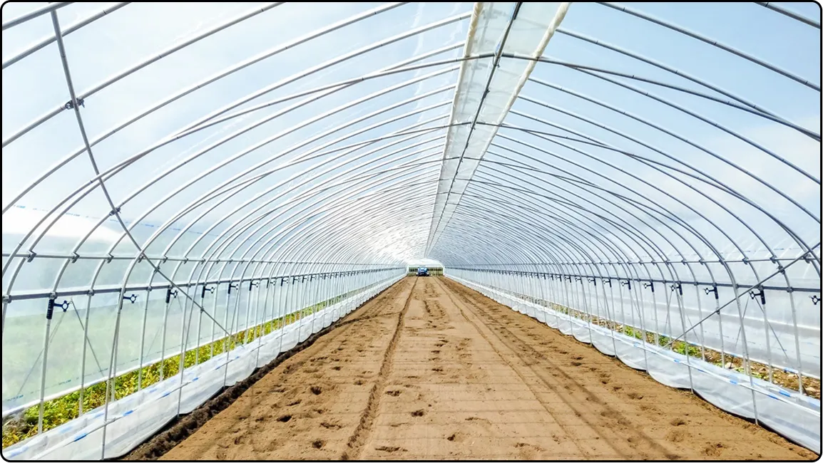 栃木の鉄骨屋根ハウス施工｜大空間・高採光が必要な栽培に｜初めての方も安心｜有限会社マルカ商会