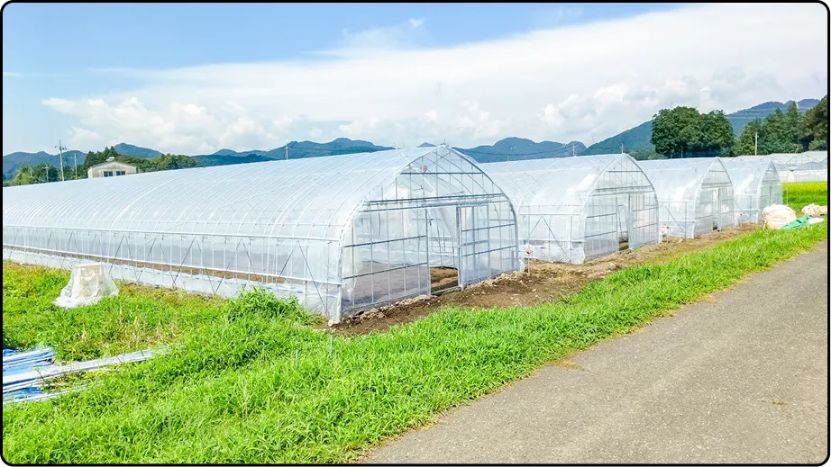 有限会社マルカ商会 -課題解決型のハウスづくり 企画・施工・販売 ワンストップで提案-