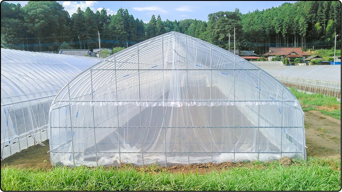 栃木の鉄骨屋根ハウス施工｜大空間・高採光が必要な栽培に｜初めての方も安心｜有限会社マルカ商会