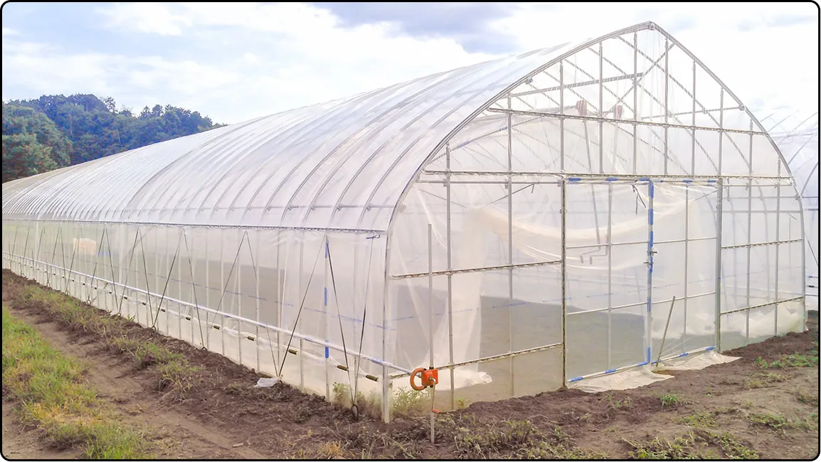 栃木の鉄骨屋根ハウス施工｜大空間・高採光が必要な栽培に｜初めての方も安心｜有限会社マルカ商会