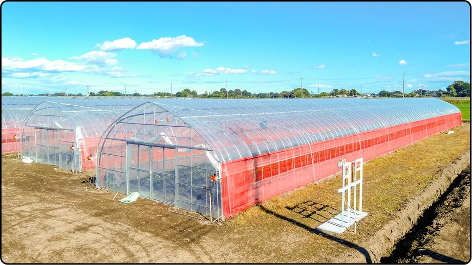 有限会社マルカ商会 -課題解決型のハウスづくり 企画・施工・販売 ワンストップで提案-