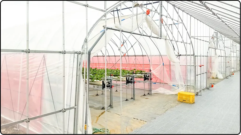 有限会社マルカ商会 -課題解決型のハウスづくり 企画・施工・販売 ワンストップで提案-