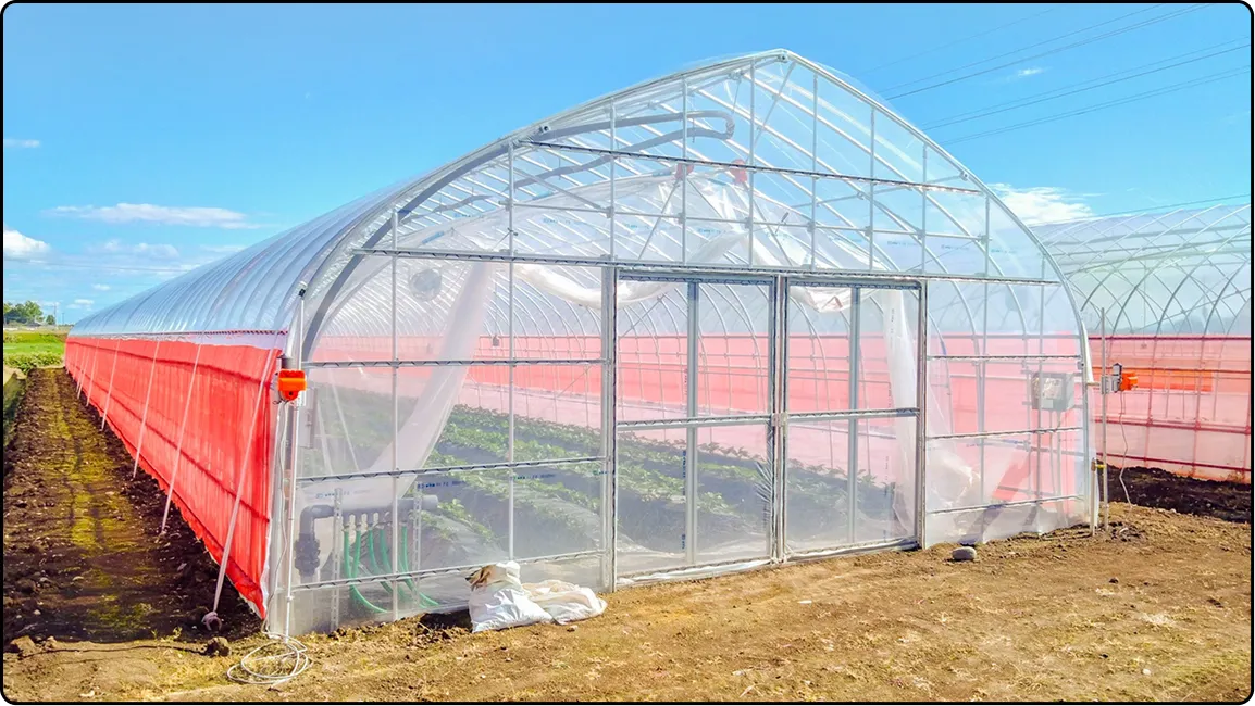 栃木の鉄骨屋根ハウス施工｜大空間・高採光が必要な栽培に｜初めての方も安心｜有限会社マルカ商会