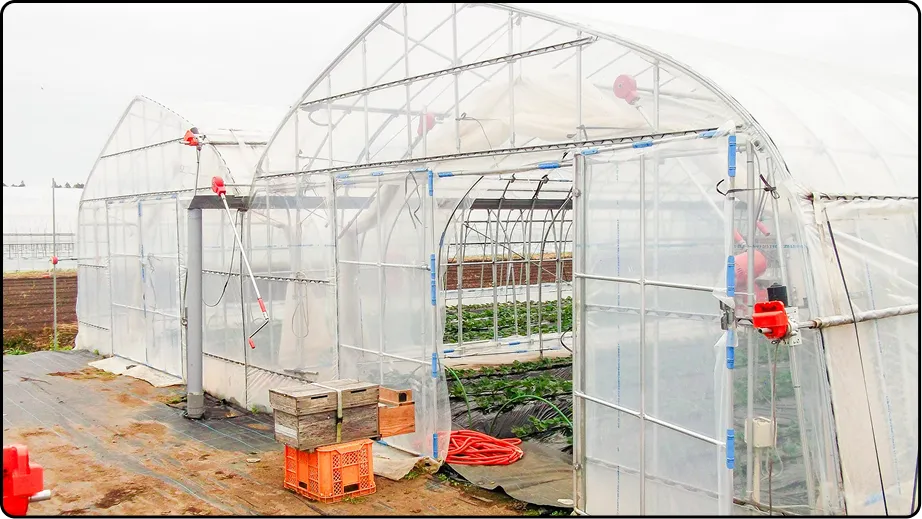 有限会社マルカ商会 -課題解決型のハウスづくり 企画・施工・販売 ワンストップで提案-