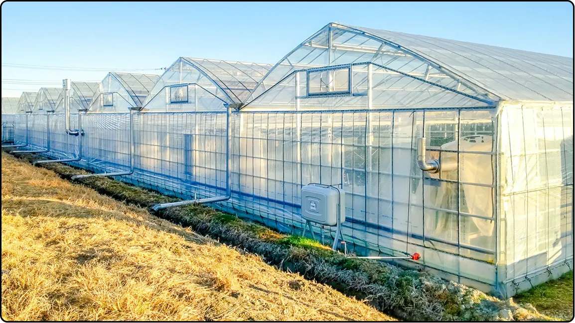 栃木の鉄骨屋根ハウス施工｜大空間・高採光が必要な栽培に｜初めての方も安心｜有限会社マルカ商会