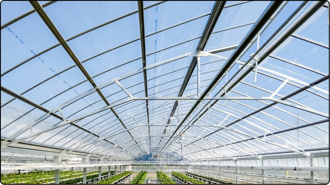 栃木の鉄骨屋根ハウス施工｜大空間・高採光が必要な栽培に｜初めての方も安心｜有限会社マルカ商会