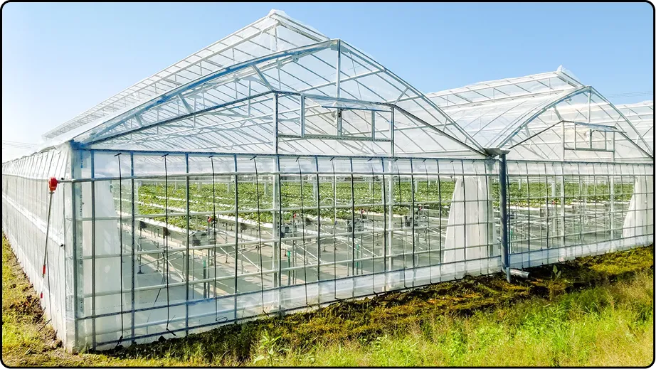 有限会社マルカ商会 -課題解決型のハウスづくり 企画・施工・販売 ワンストップで提案-