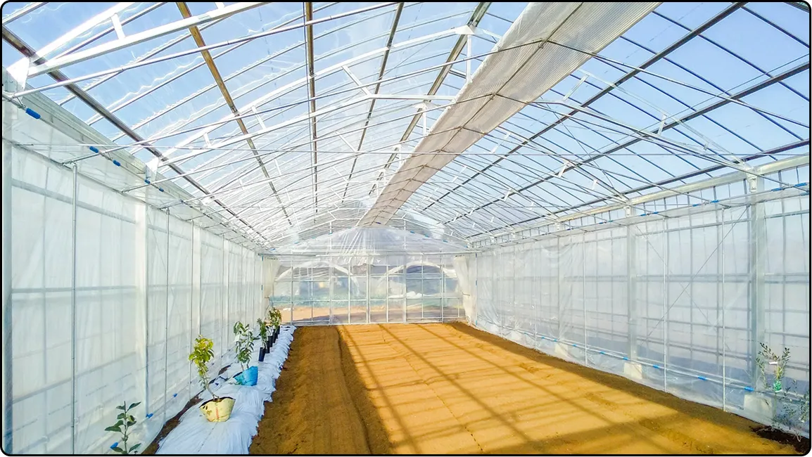 栃木の鉄骨屋根ハウス施工｜大空間・高採光が必要な栽培に｜初めての方も安心｜有限会社マルカ商会