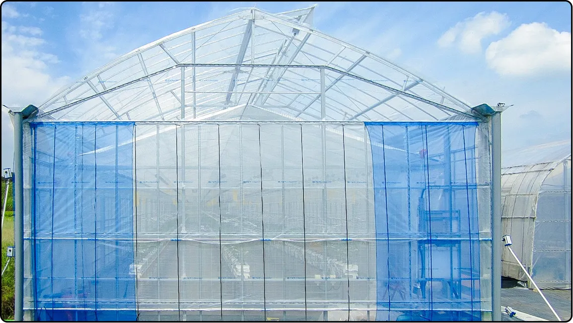 栃木の鉄骨屋根ハウス施工｜大空間・高採光が必要な栽培に｜初めての方も安心｜有限会社マルカ商会