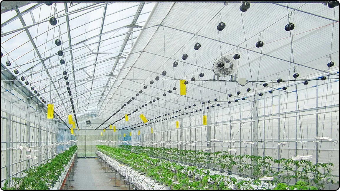 栃木の鉄骨屋根ハウス施工｜大空間・高採光が必要な栽培に｜初めての方も安心｜有限会社マルカ商会