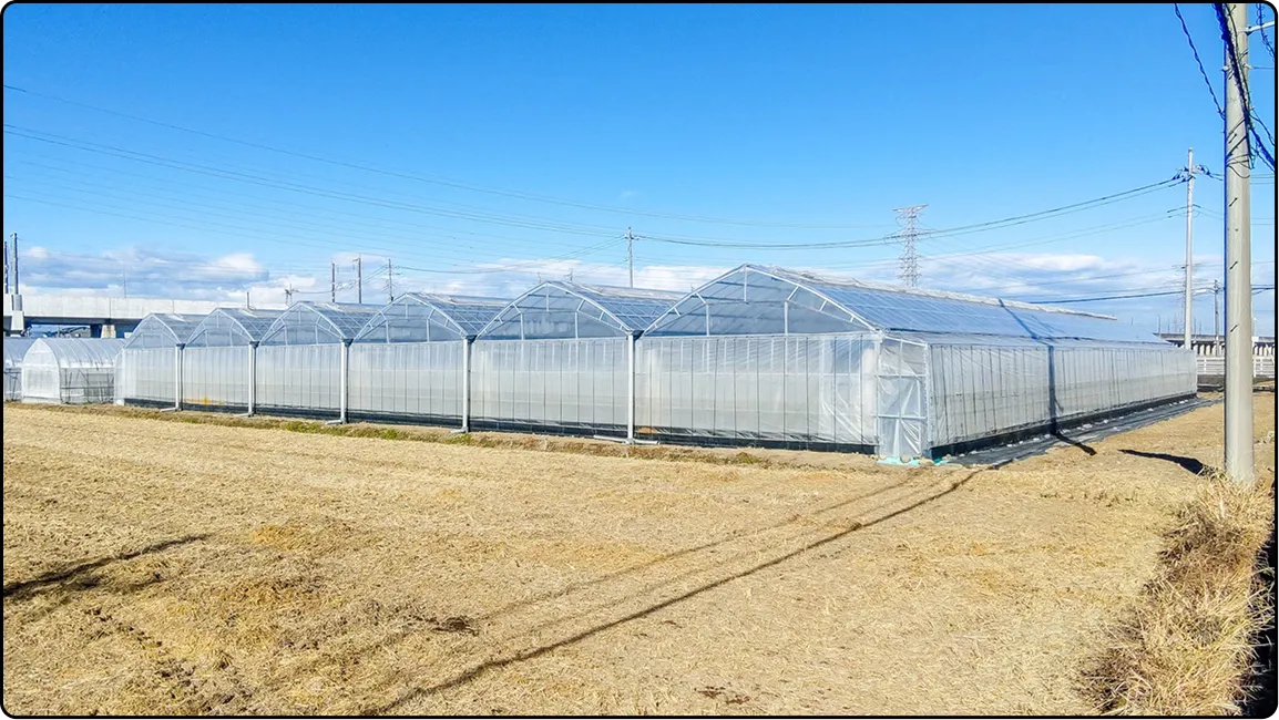 栃木の鉄骨屋根ハウス施工｜大空間・高採光が必要な栽培に｜初めての方も安心｜有限会社マルカ商会