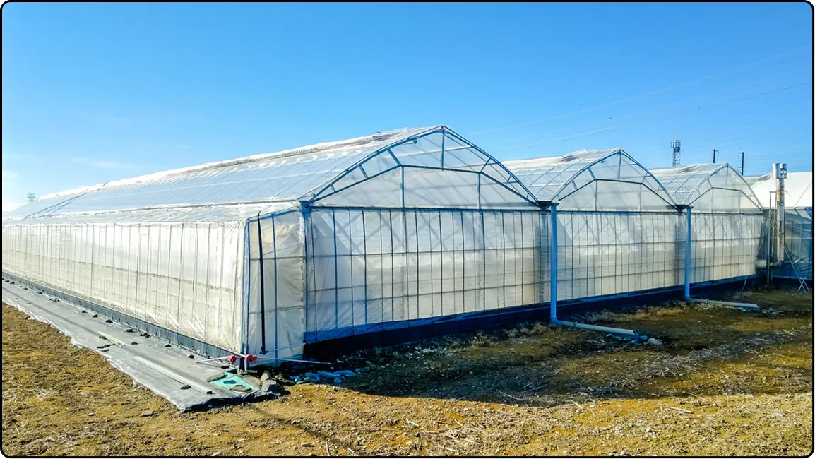 栃木の鉄骨屋根ハウス施工｜大空間・高採光が必要な栽培に｜初めての方も安心｜有限会社マルカ商会