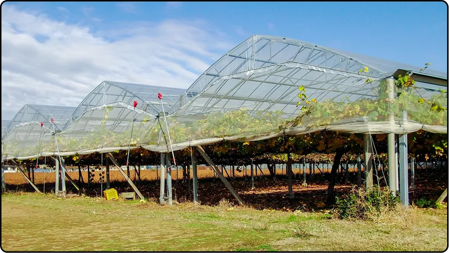 有限会社マルカ商会 -課題解決型のハウスづくり 企画・施工・販売 ワンストップで提案-