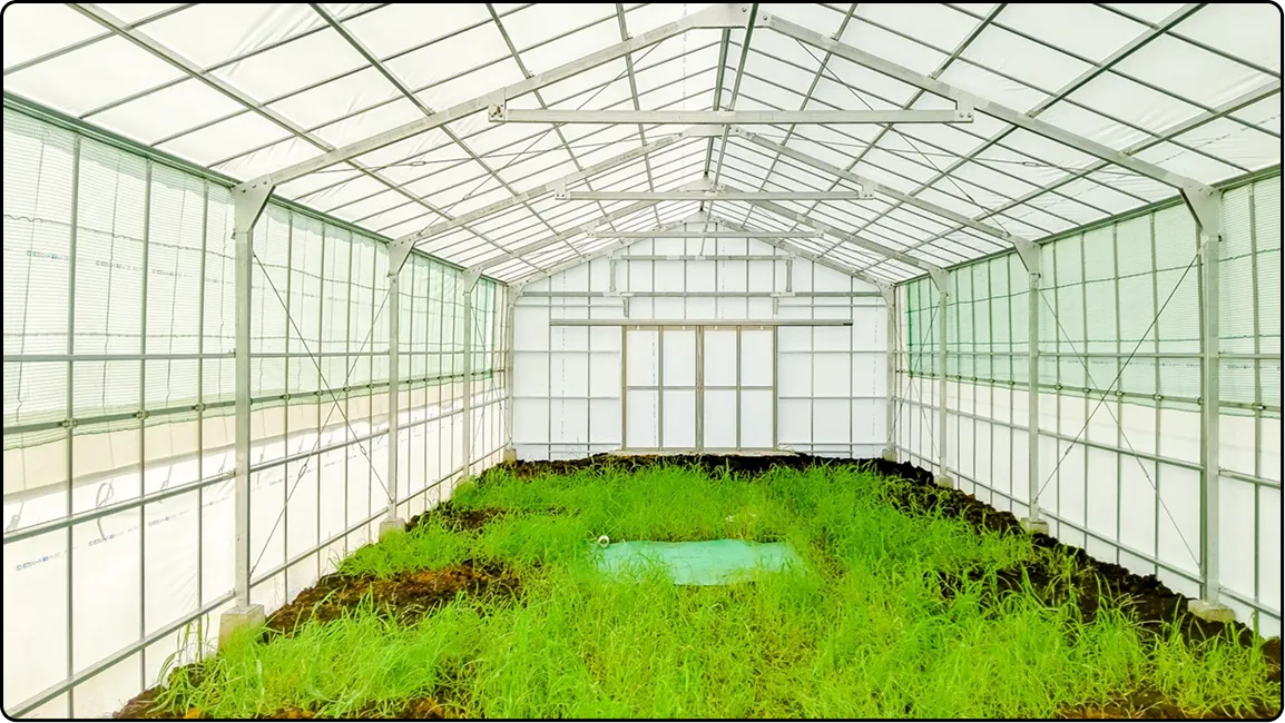 栃木の鉄骨屋根ハウス施工｜大空間・高採光が必要な栽培に｜初めての方も安心｜有限会社マルカ商会