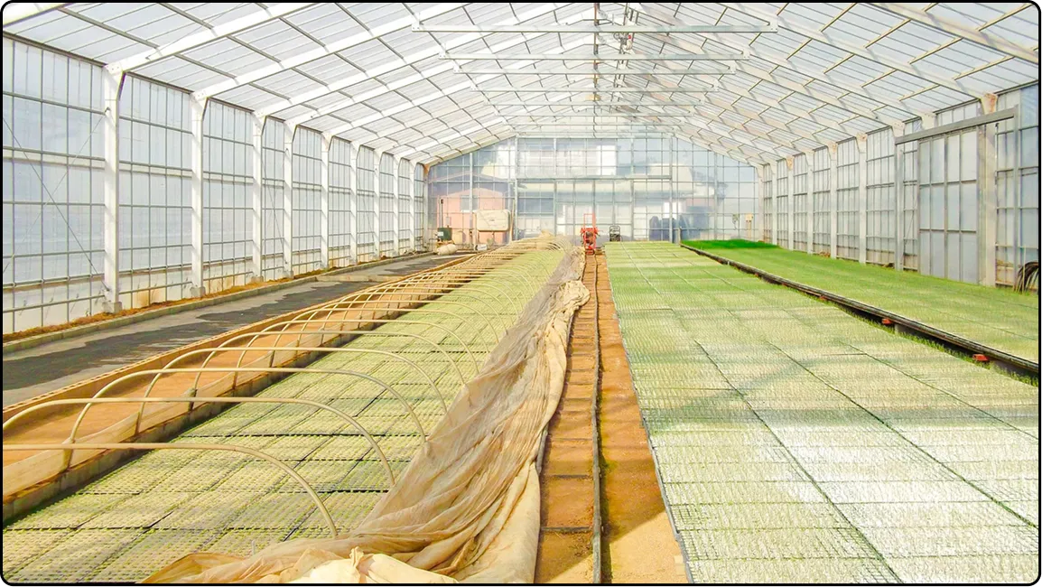 栃木の鉄骨屋根ハウス施工｜大空間・高採光が必要な栽培に｜初めての方も安心｜有限会社マルカ商会