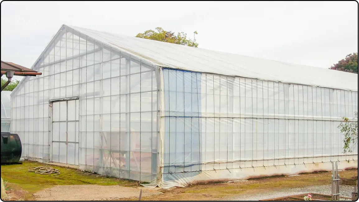 栃木の鉄骨屋根ハウス施工｜大空間・高採光が必要な栽培に｜初めての方も安心｜有限会社マルカ商会