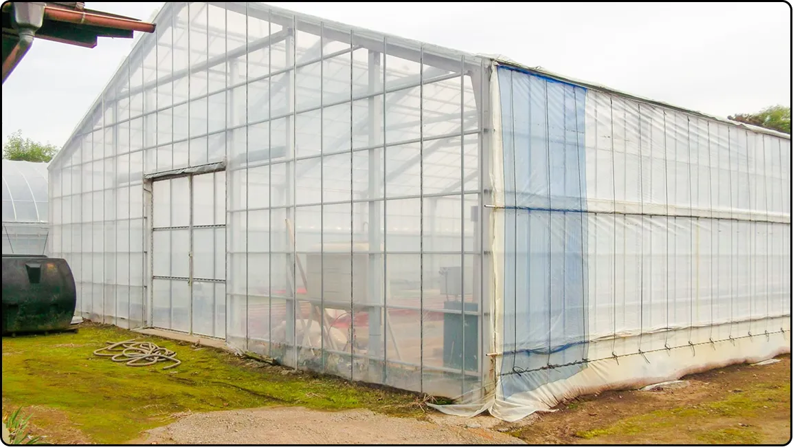 栃木の鉄骨屋根ハウス施工｜大空間・高採光が必要な栽培に｜初めての方も安心｜有限会社マルカ商会